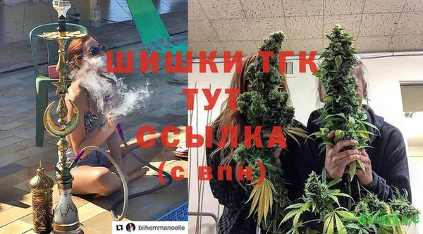 эйфоретик Арсеньев