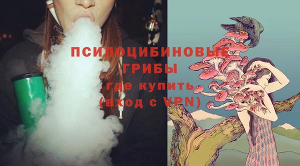 гидропоника Аркадак