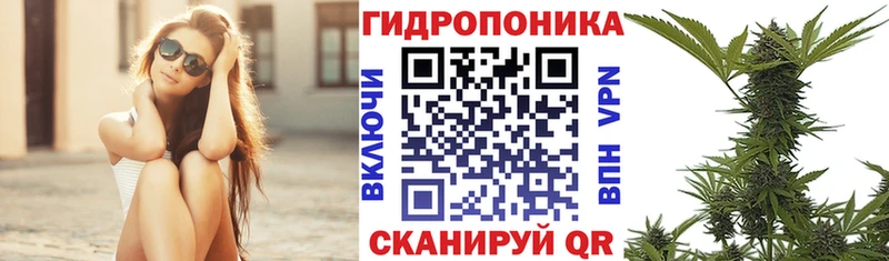 купить наркоту  блэк спрут tor  Марихуана OG Kush  Сорочинск 